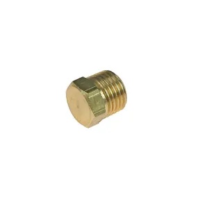 1/4" M Brass Plug