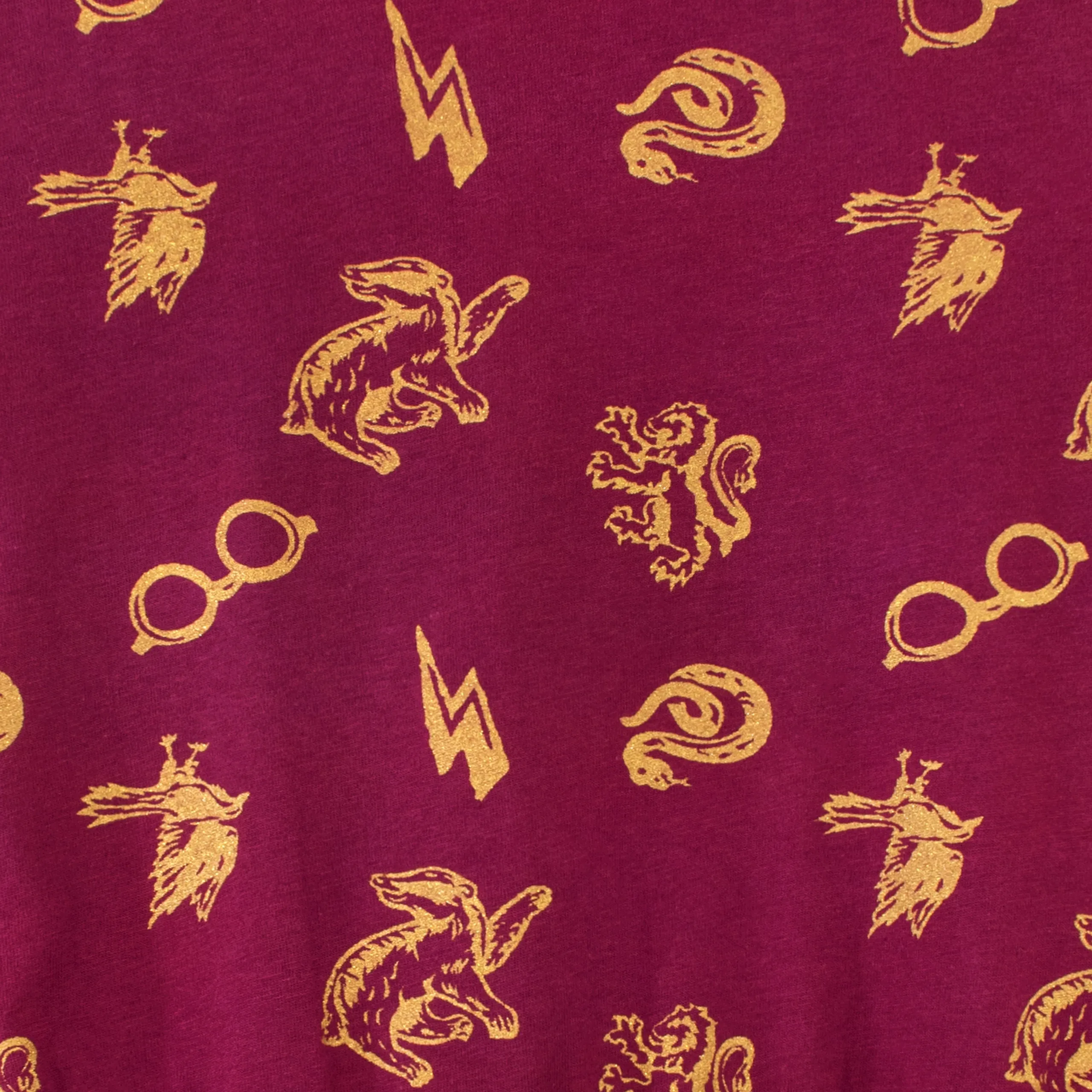 Harry Potter Dress