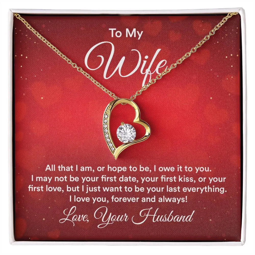 To My Wife Necklace from Husband, All That I Am, or Hope to Be, I Owe It to You